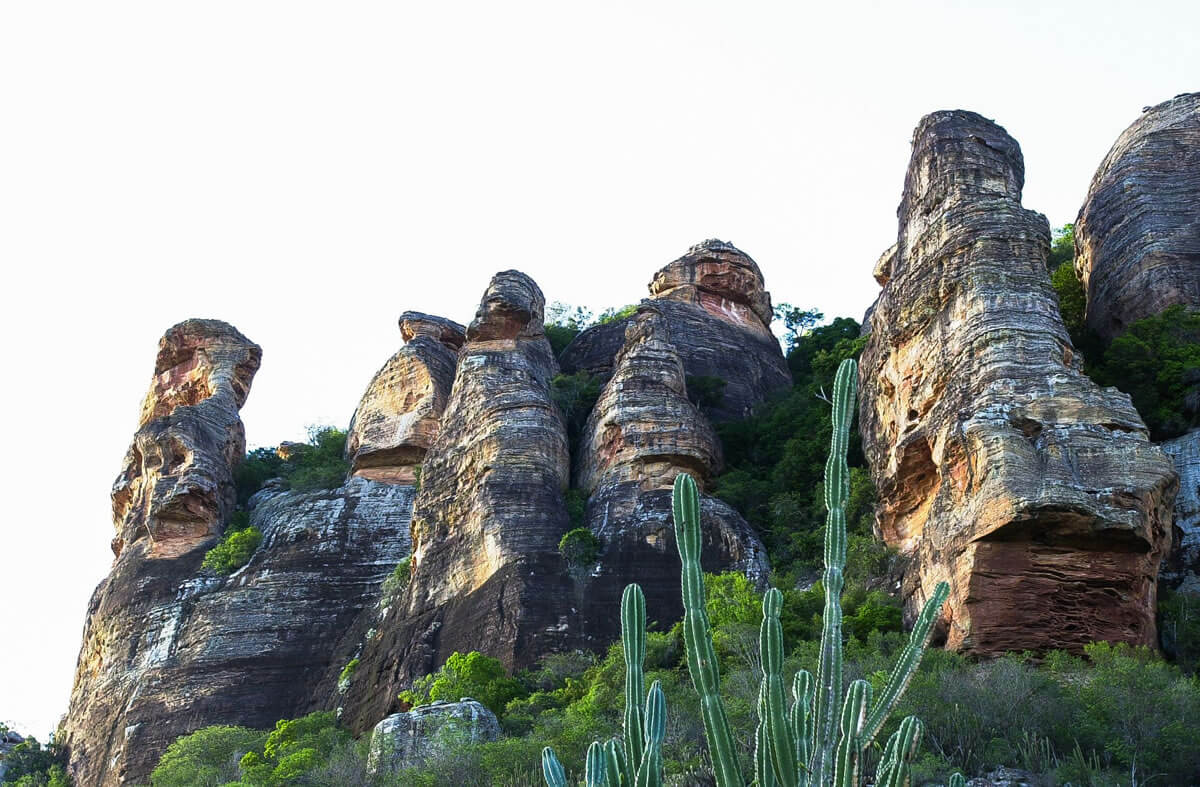 Serra Da Capivara: Brazil's Archaeological & Natural Treasure | LAC Geo